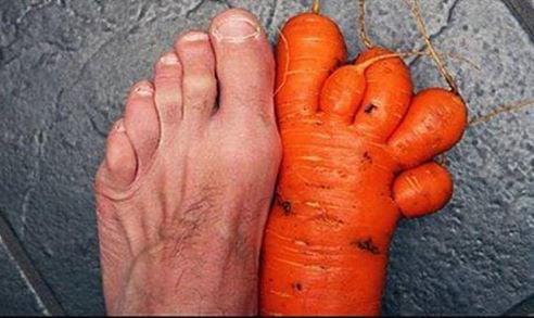 Adventist vegan rushed to hospital after carrot overdose